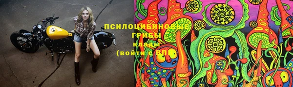 трава Алексин